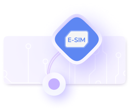 Roaming Free Data image